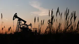 Нефтегазовый сектор занимает всё меньшую долю в российском ВВП и доходах бюджета: в 2025 году его вклад снизился до 13% ВВП и менее четверти бюджетных поступлений, при этом отрасль сталкивается с санкциями, ограничениями добычи и падением инвестиций.