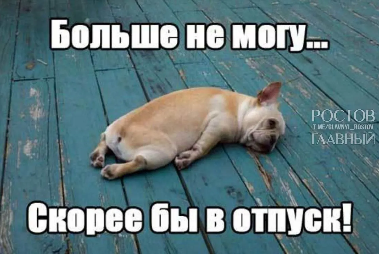 В Госдуме предлагают поднять минимальную продолжительность оплачиваемого отпуска с 28 до 35 дней, чтобы компенсировать включённые в него выходные и снизить риск профессионального выгорания.