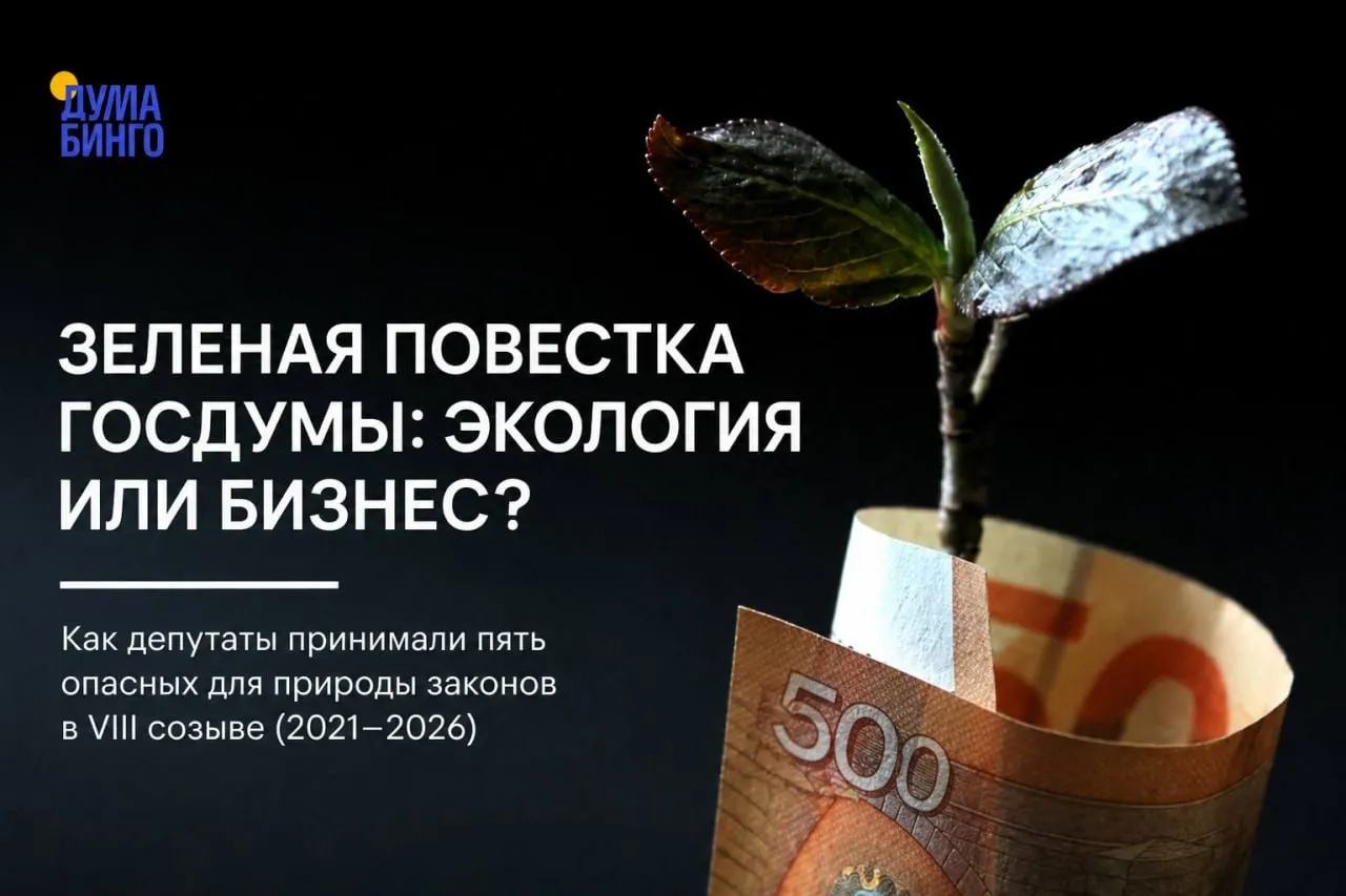 Анализ голосований за последние пять лет показывает: парламент поддерживает инициативы, сокращающие общественный контроль и ослабляющие охрану природы. Большинство решений определяется голосами «Единой России», а спорные поправки чаще проходят незаметно.