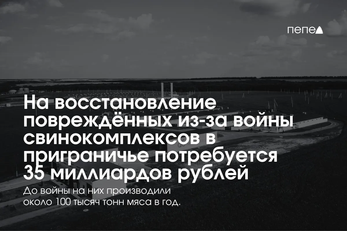 Восстановление свинокомплексов в&nbsp;приграничье обойдётся в&nbsp;35&nbsp;млрд рублей
