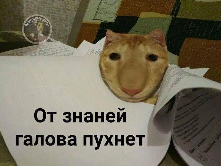 Минспорт планирует ввести тест по управлению небольшим дроном в комплексе ГТО: испытание пройдут в тестовом режиме уже в этом году, а с следующего знак смогут получить желающие по всей стране — он может дать до 10 дополнительных баллов при экзаменах.