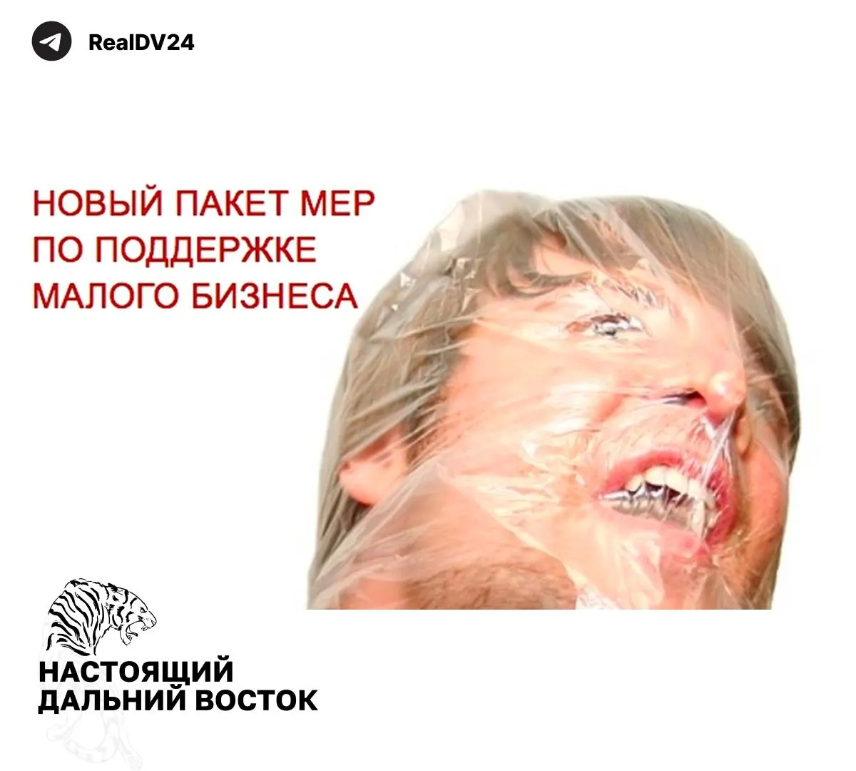 Федеральная налоговая служба направила регионам рекомендации по повышению сборов — от расширения налогообложения недвижимости до пересмотра льгот и роста транспортного налога.