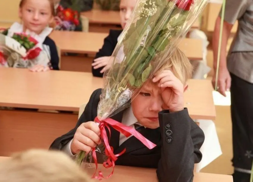 Замглавы Минпросвещения заявил, что 11-летняя система обучения признана оптимальной, менять сроки не планируют — все стандарты будут вводить с учетом 11 классов.