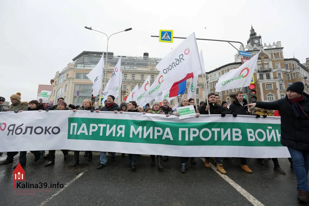Регистрацию федерального списка «Яблока» объясняют желанием властей направить протестные настроения в контролируемое русло. Партия остаётся одним из немногих легальных способов публично выразить антивоенную позицию, хотя многих её лидеров не допустили к участию.