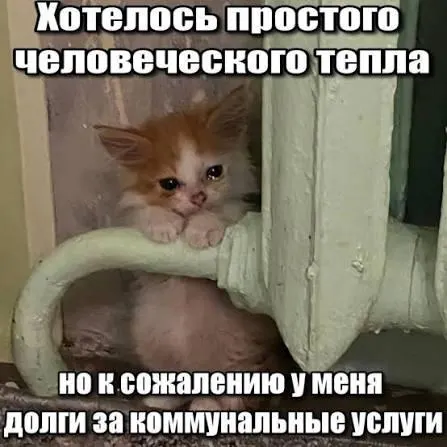 ВС подтвердил, что по обязательствам за капремонт действует трёхлетний срок исковой давности: это ограничивает возможности принудительного взыскания старых долгов и защищает покупателей вторичного жилья и наследников.