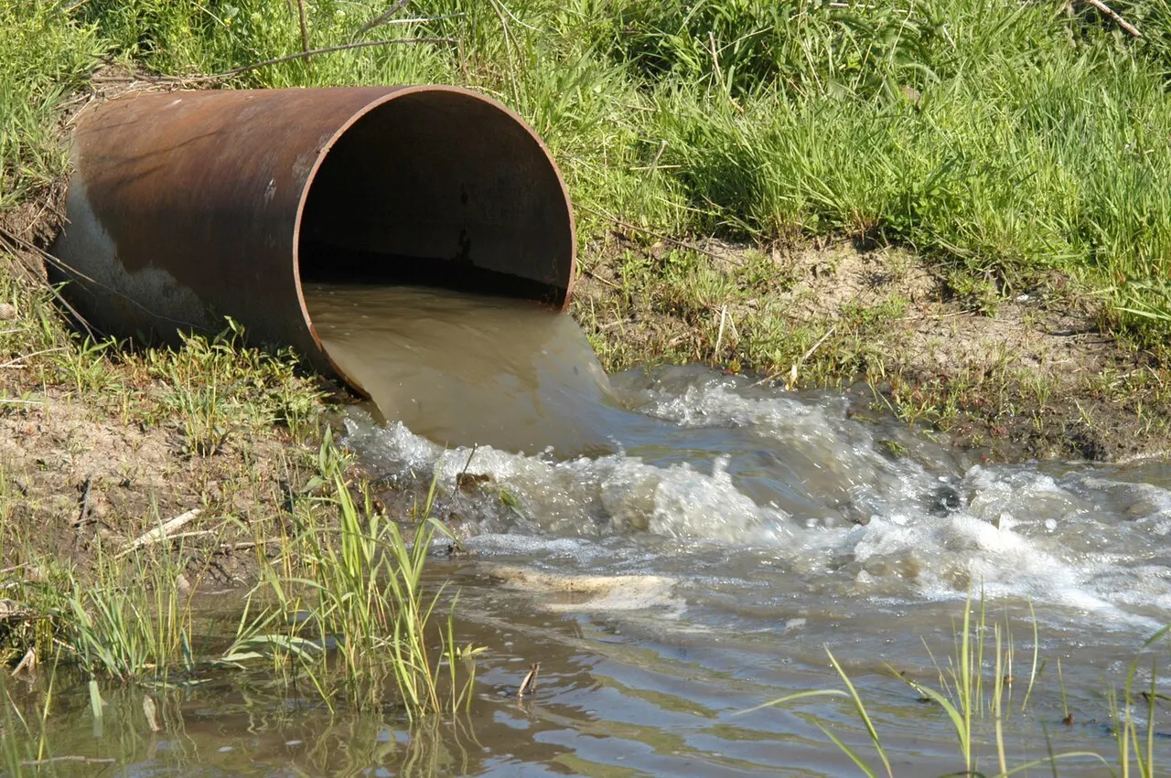 Группа сенаторов и депутатов предложила льготу для водоканалов за вред природе, если у них есть собственные экологические программы. Минприроды готова поддержать идею после доработок, Счётная палата критикует документ.