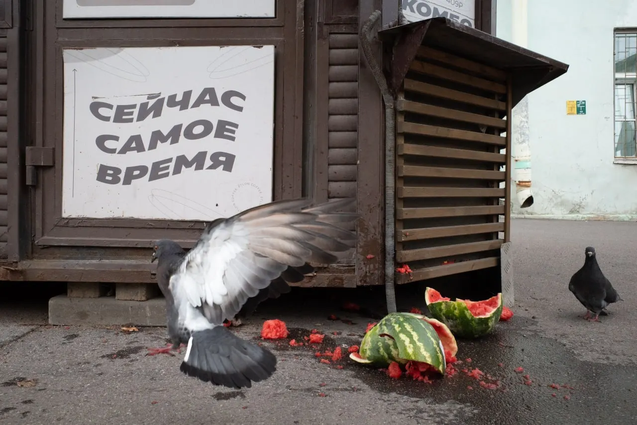 В Петербурге и Ленобласти заочно оштрафовали священника за антивоенный призыв; разворачиваются политические события в регионе и в стране, проходят панихиды по жертвам репрессий, а в Москве — кадровые перестановки в Минобороны.