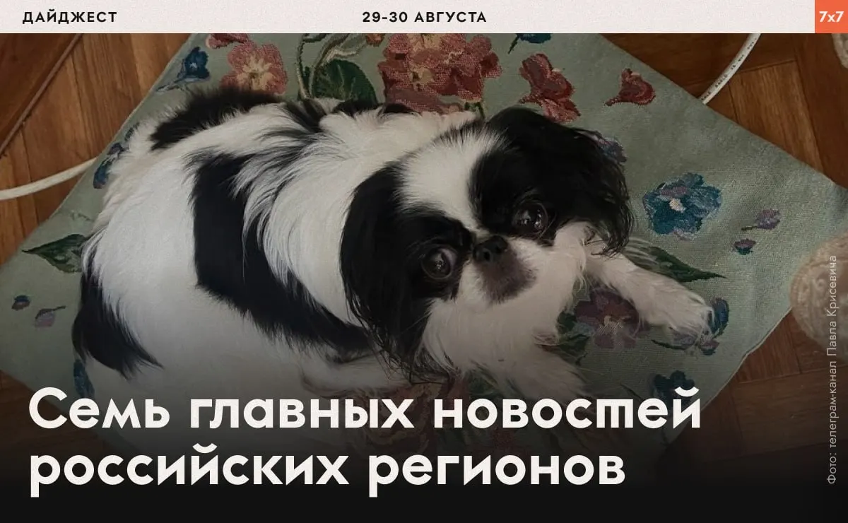 Подборка событий по всей России: принуждения к бегу в СИЗО, давление на оппозицию, запреты на строительство и ограничения в водных объектах.