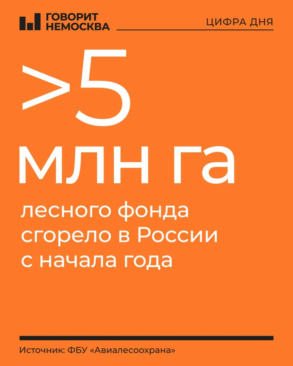 За год масштабы лесных пожаров в стране сопоставимы с площадью небольшой Европы; лидируют Дальний Восток и Сибирь, ситуация остается напряженной в Ямало-Ненецком округе и Якутии.