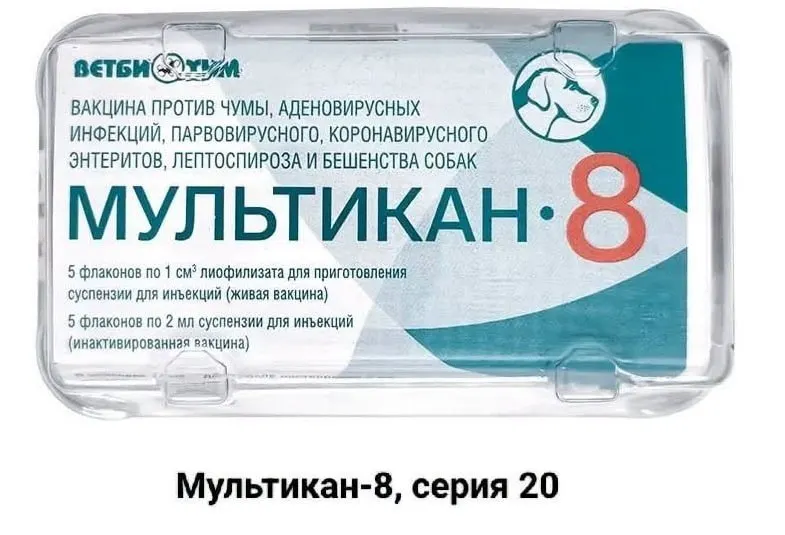 Владельцы собак, погибших после вакцинации препаратом «Мультикан-8», требуют огласки и расследования, утверждая давление на исследования и замалчивание фактов о вирусе Ауески.